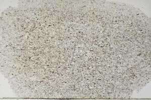 Plane Polarized, S62425