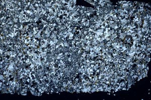 Cross Polarized, S62450