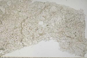 Plane Polarized, S62451