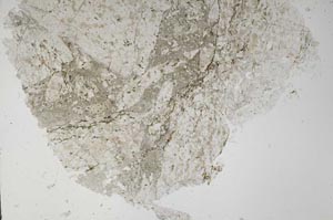 Plane Polarized, S62453