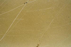 Cross Polarized, S62586