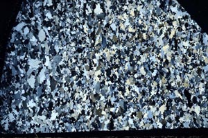 Cross Polarized, S62767