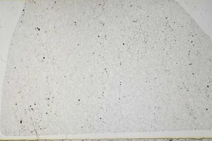 Plane Polarized, S62767