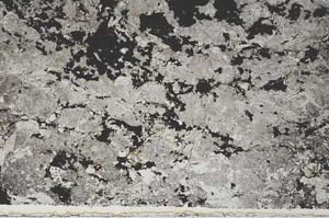 Plane Polarized, S62768