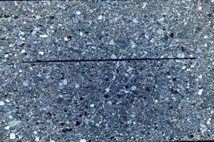 Cross Polarized, S62782