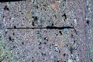 Cross Polarized, S62793