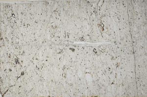 Plane Polarized, S62793