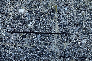 Cross Polarized, S62794