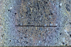 Cross Polarized, S62795