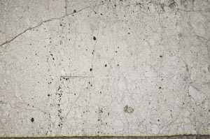 Plane Polarized, S62795