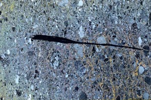 Cross Polarized, S62796