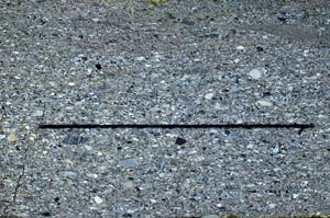 Cross Polarized, S62798