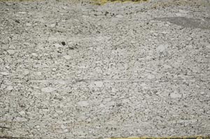 Plane Polarized, S62798