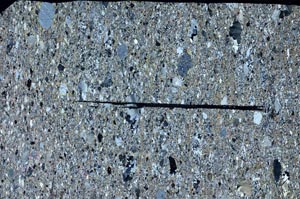 Cross Polarized, S62800