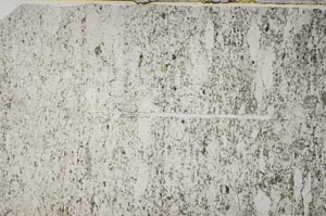 Plane Polarized, S62800