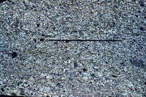 Cross Polarized, S62801