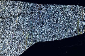 Cross Polarized, S62803