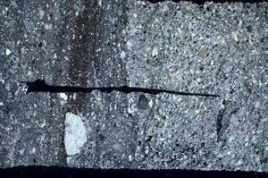 Cross Polarized, S62805