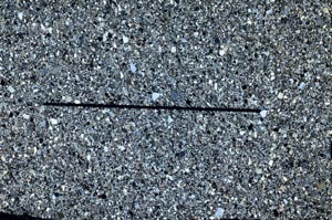 Cross Polarized, S62806