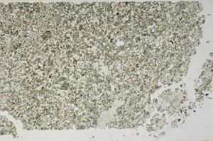 Plane Polarized, S62872