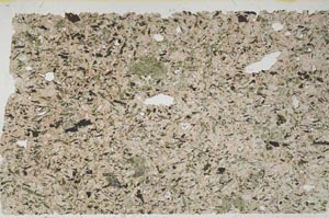 Plane Polarized, S62873