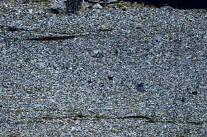 Cross Polarized, S62881