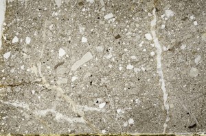 Plane Polarized, S62932