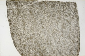 Plane Polarized, S62940