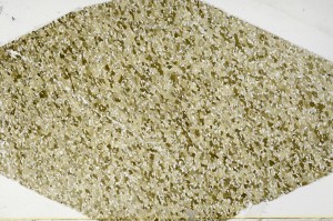 Plane Polarized, S62970