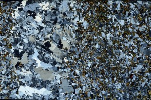 Cross Polarized, S62972