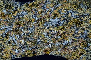 Cross Polarized, S62973