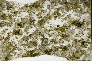 Plane Polarized, S62973