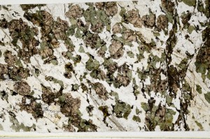 Plane Polarized, S62979