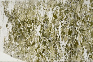 Plane Polarized, S62989