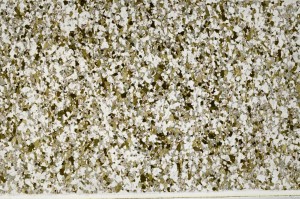 Plane Polarized, S63013