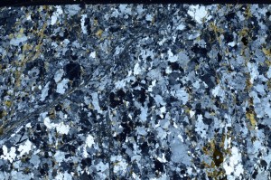 Cross Polarized, S63014