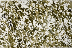 Plane Polarized, S63015