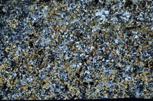 Cross Polarized, S63016