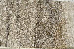 Plane Polarized, S63017