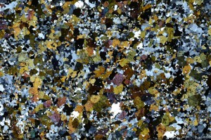 Cross Polarized, S63018