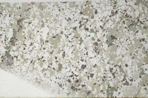 Plane Polarized, S63019