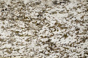 Plane Polarized, S63025