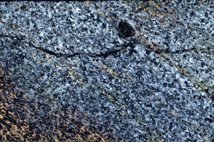 Cross Polarized, S63070