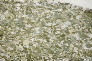 Plane Polarized, S63113