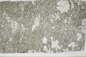 Plane Polarized, S63120