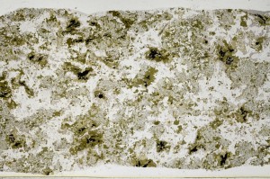 Plane Polarized, S63124