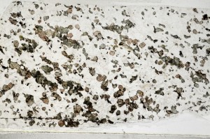 Plane Polarized, S63126