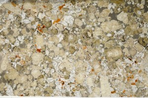 Plane Polarized, S63148