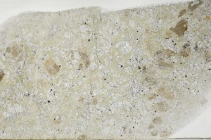 Plane Polarized, S63157