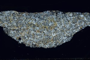 Cross Polarized, S63164